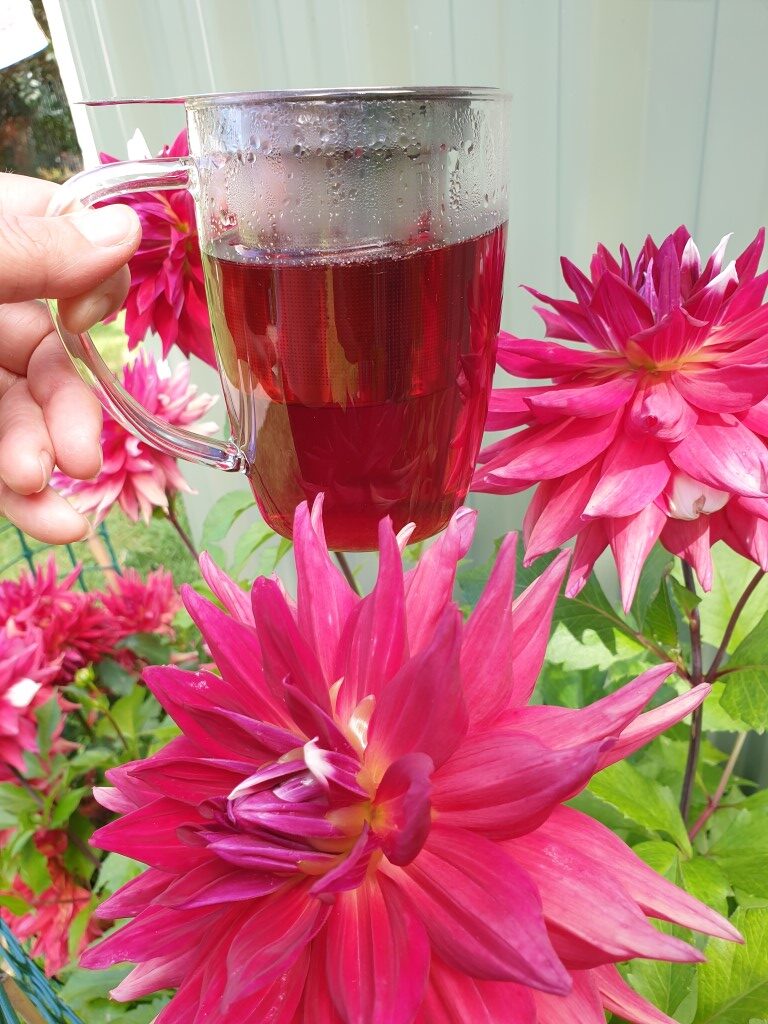 Hibiscus & Elderflower Spritzer by New Zealand Herbal Brew