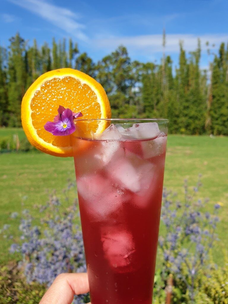 Hibiscus & Elderflower Spritzer by New Zealand Herbal Brew